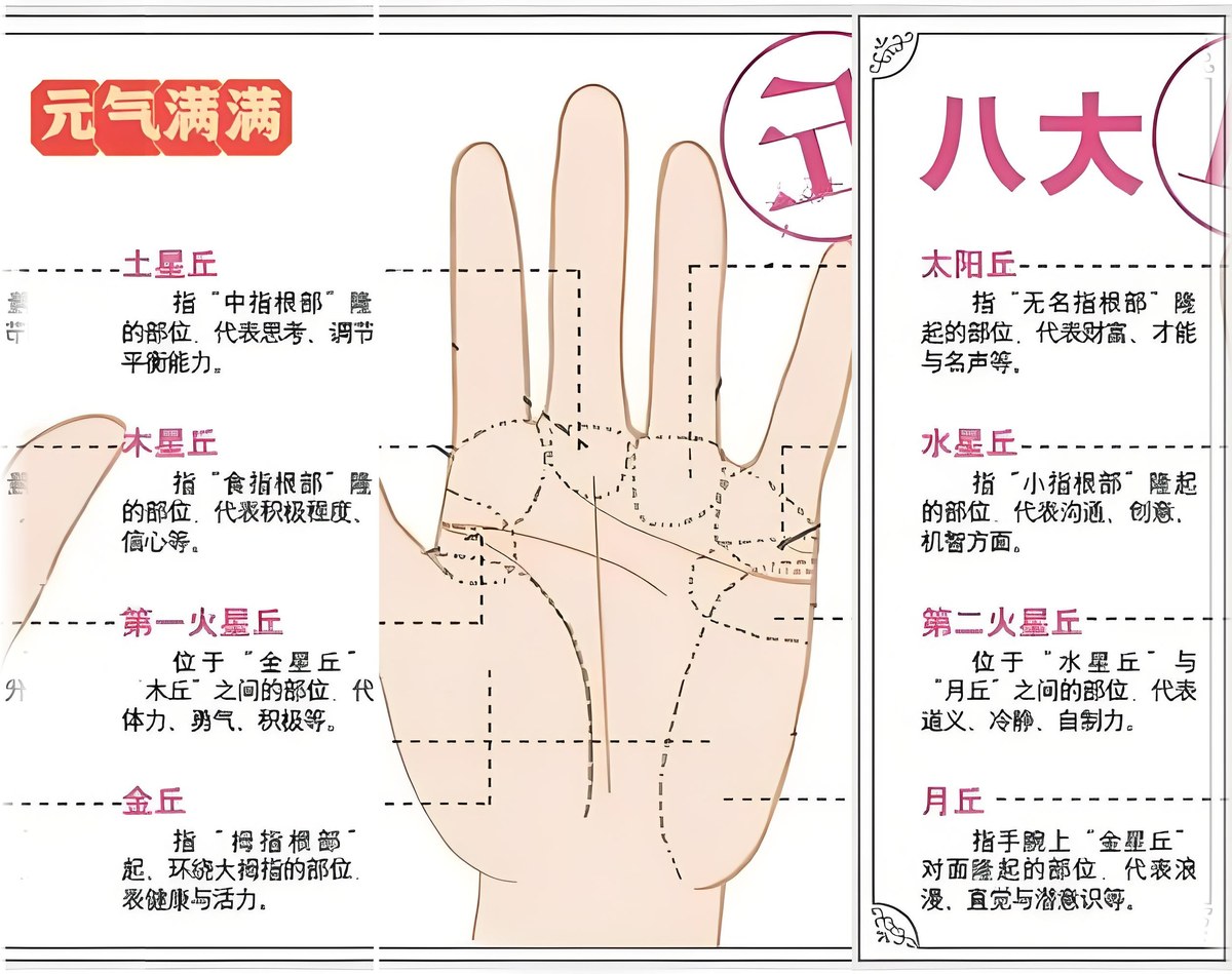 手掌 8 丘示意图